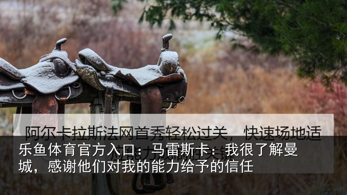 乐鱼体育官方入口:马雷相关情况,感谢相关情况予的信任