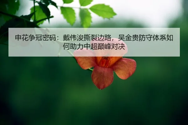 shen-hua-zheng-guan-mi-ma-dai-wei-jun-si-lie-bian-lu-wu-jin-gui-fang-shou-ti-xi-ru-he-zhu-li-zhong-chao-dian-feng-dui-2-291.jpg