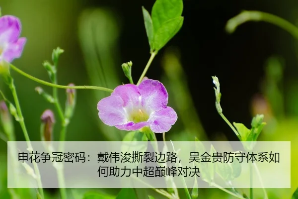 shen-hua-zheng-guan-mi-ma-dai-wei-jun-si-lie-bian-lu-wu-jin-gui-fang-shou-ti-xi-ru-he-zhu-li-zhong-chao-dian-feng-dui-3-561.jpg