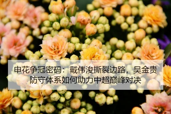 申花争冠密码：戴伟浚撕裂边路，吴金贵防守体系如何助力中超巅峰对决
