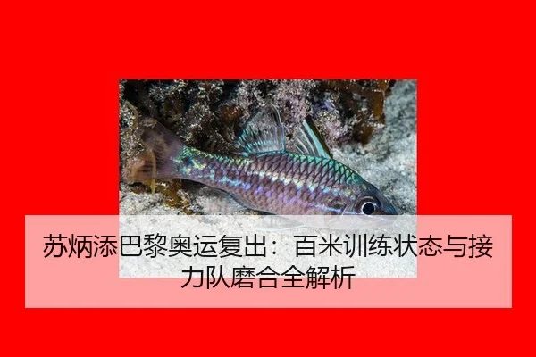 su-bing-tian-ba-li-ao-yun-fu-chu-bai-mi-xun-lian-zhuang-tai-yu-jie-li-dui-mo-he-quan-jie-xi-3-539.jpg